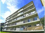 西小中台団地19棟