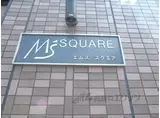 MS SQUARE
