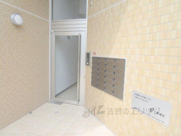 LILL 登町