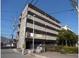 シティプラザ芦屋さくら通