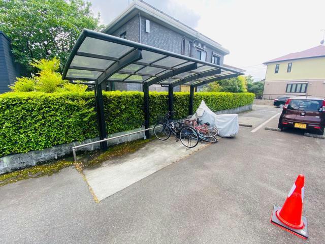 コンフォートM