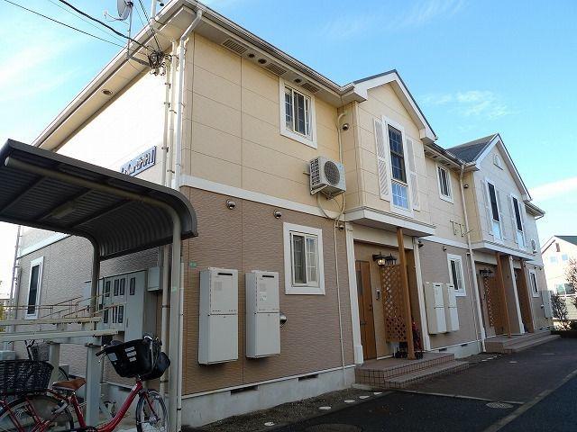 エヴァーグリーンII