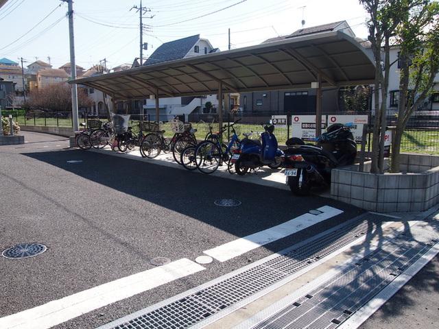 ステラB
