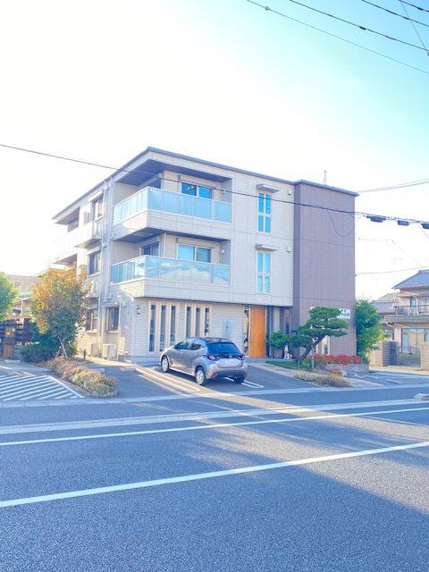 SHAMAISONさくら