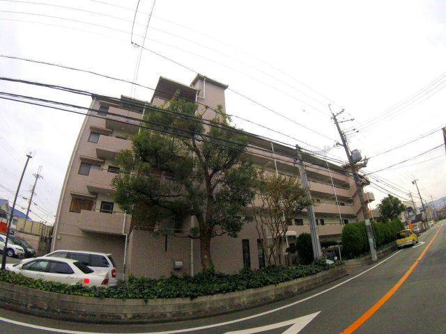 デイグラン シエル