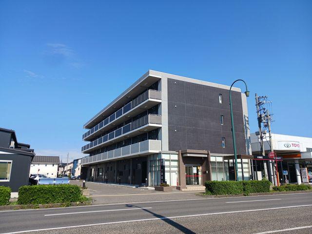 プラシード