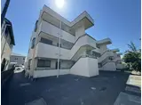ラフィーヌ フォレ