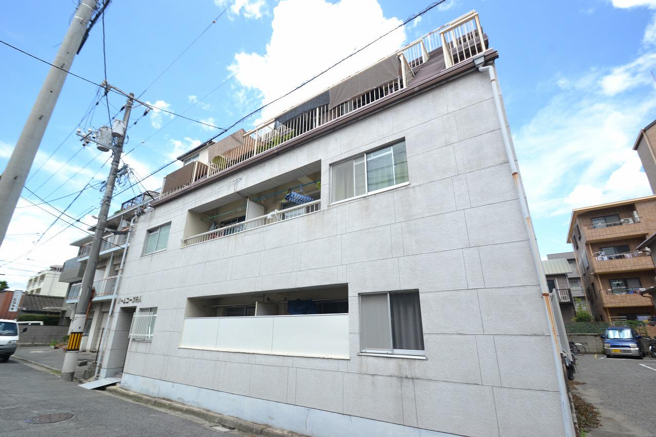 パームコーブ舟入