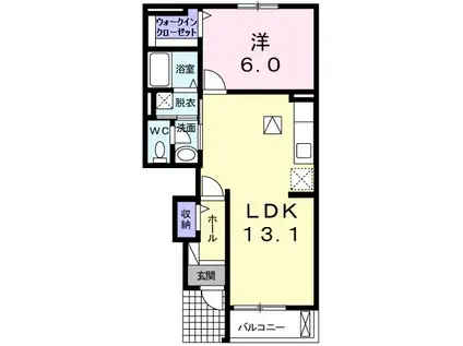 クラーヴォII(1LDK/1階)の間取り写真