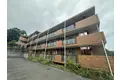 コートグレイスエクセレント