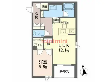 SHAMAISON WISTERIA(1LDK/1階)の間取り写真