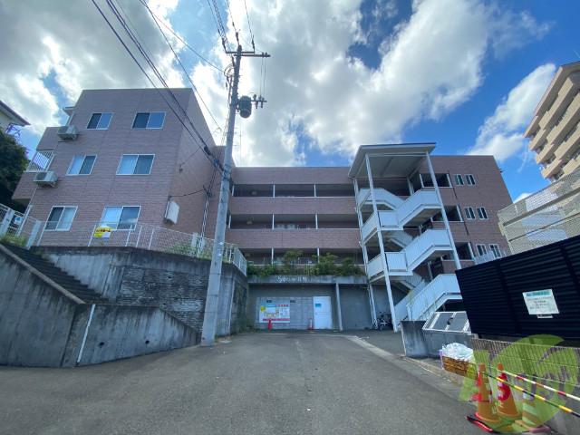 シルフソア