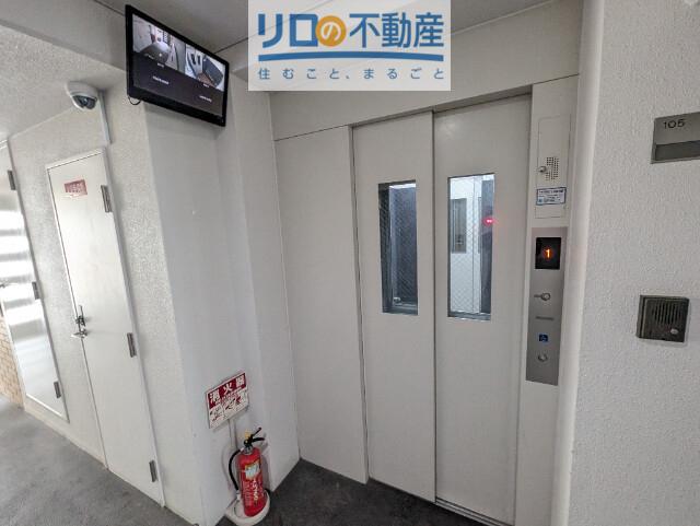 ONLY ONE小花II