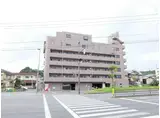 エクセレント亀井