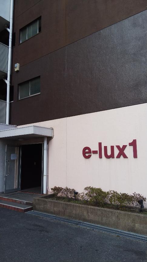 E-LUX1
