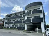 ミュー・マツヤマ