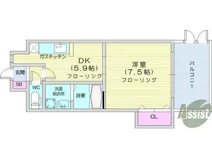 アネシス泉中央(1DK/1階)の間取り写真