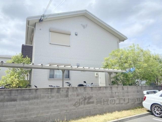 ヴェヌスタ幾野