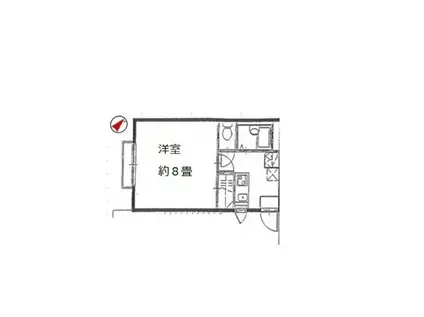 アムールHASHIMOTOI(1K/3階)の間取り写真