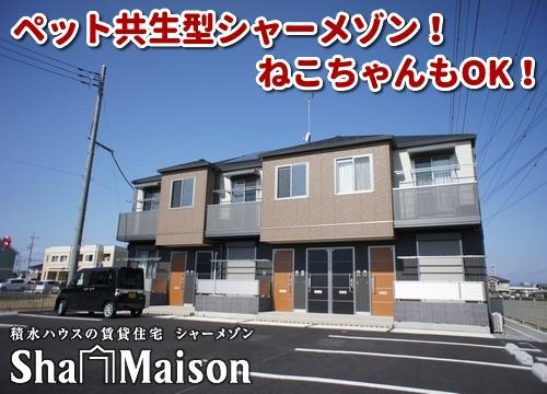 わん・ピースII(1LDK/1階)