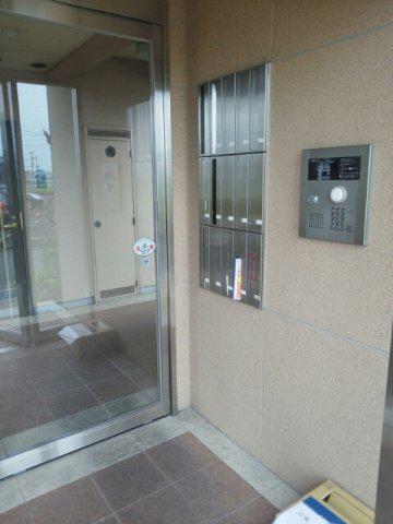 トレフルD