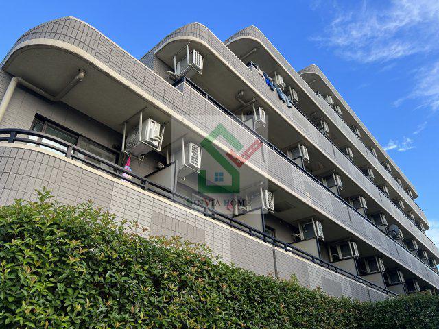ヒルスプリングス大泉学園