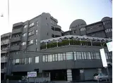 ジャルダン三田3番館