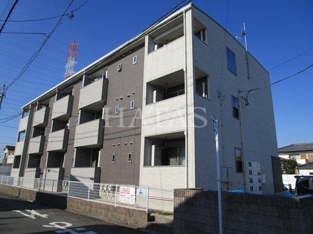 サニー山ノ神