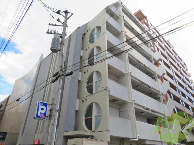 ドルフ・TS