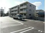 ブエナカーサ初生