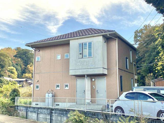 アムールフジ