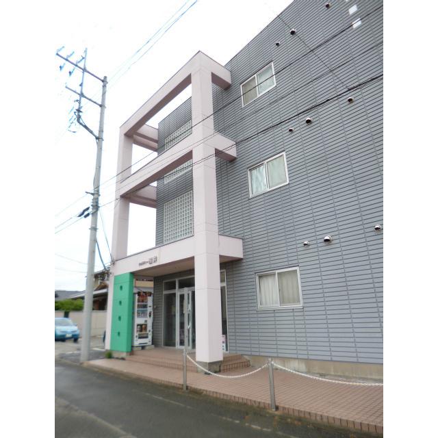 シェルティー照井