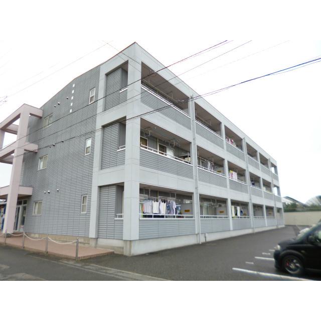 シェルティー照井