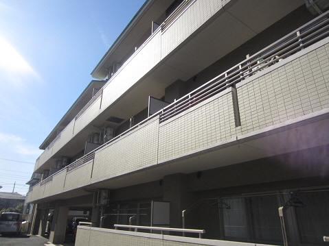 パレソレイユ