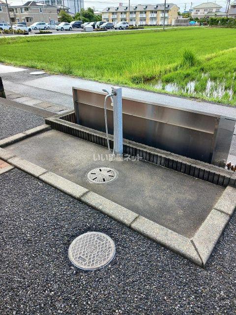アン・プリムローズ