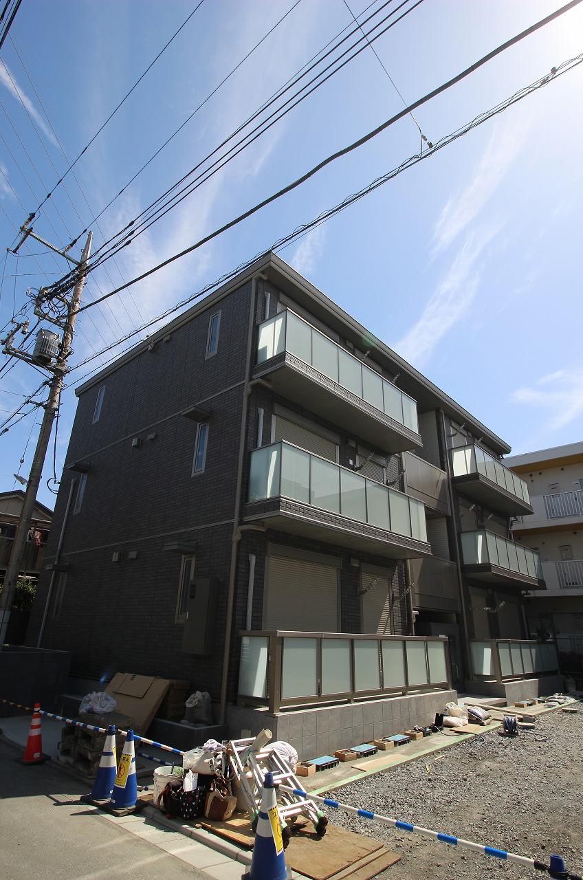 フリージア