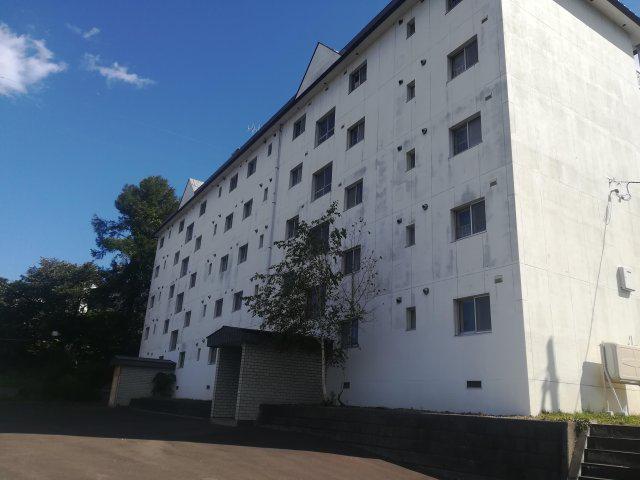 しらかば公園前