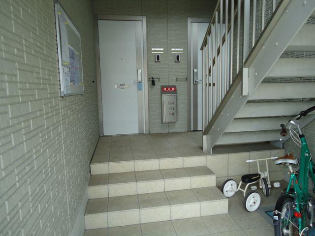 レディーバード