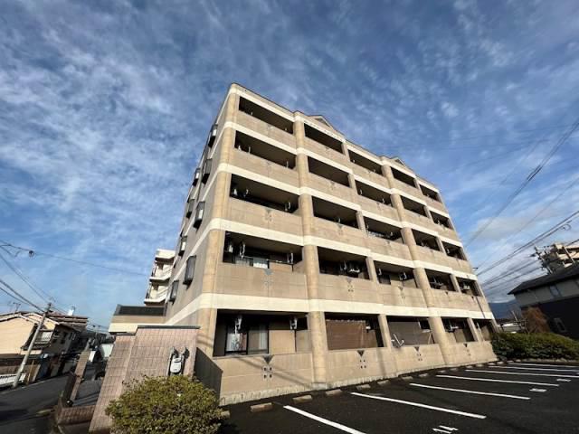ローズフェアリー