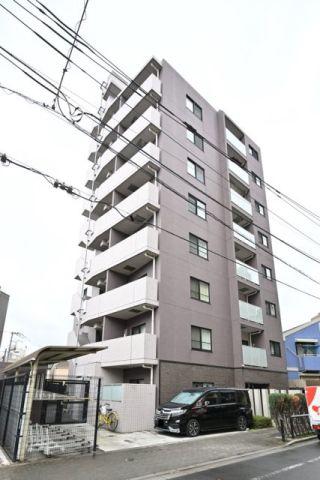 DIPS小竹向原