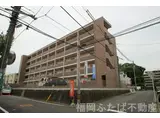 西鉄天神大牟田線 雑餉隈駅 徒歩4分 5階建 築7年