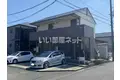 ディア ハイビスカス