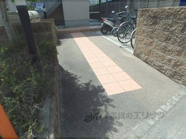 パールコート ハナノキ