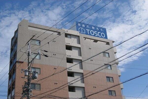 TSDREAM新生