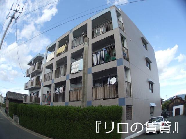 アマランス・キノ