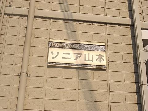 ソニア山本