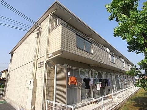 ソニア山本