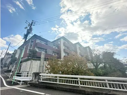 石川橋セブン(1LDK/4階)の外観写真