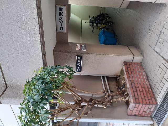 コージィ天満