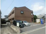 フラットステラ